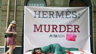 Schild vor Hermès in Indien vor Peta, eine Aktivistin liegt blutverschmiert in Krokodilkostüm.